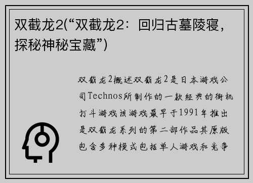 双截龙2(“双截龙2：回归古墓陵寝，探秘神秘宝藏”)